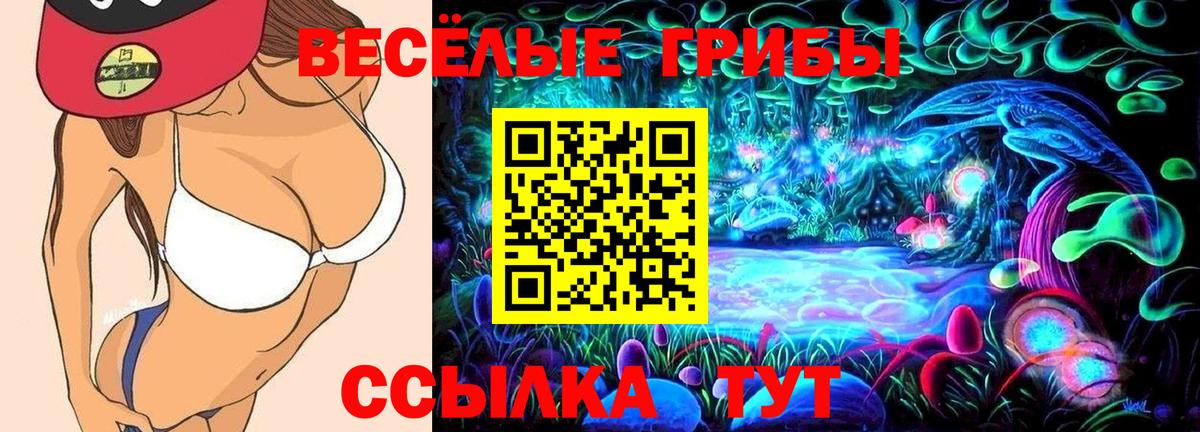 Псилоцибиновые грибы GOLDEN TEACHER  Вход с VPN  Каменка  Псилоцибиновые грибы Psilocybe 